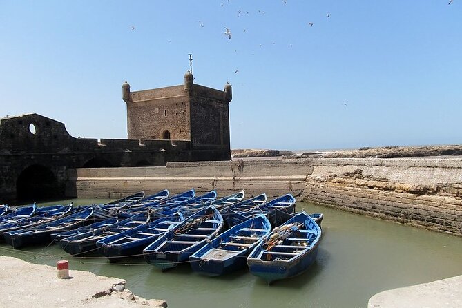 Private Essaouira Day Trip From Agadir - Argan oil, from tree to product