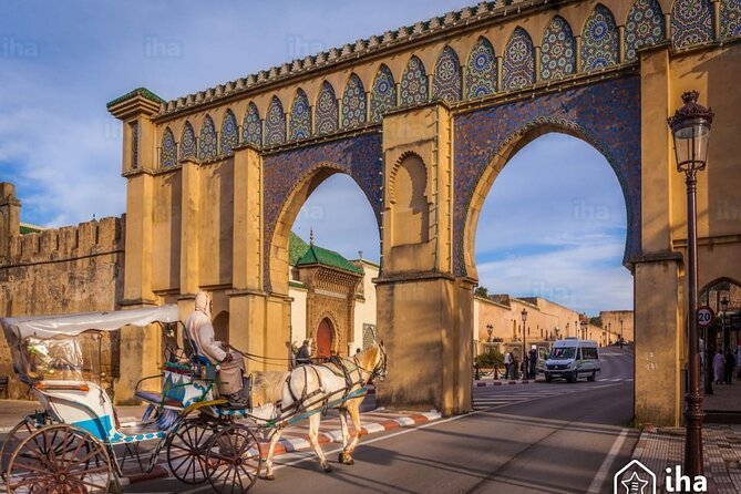Private Excursion to Volubilis Meknes and Moulay Idriss from Fez - Why this Fez day trip works
