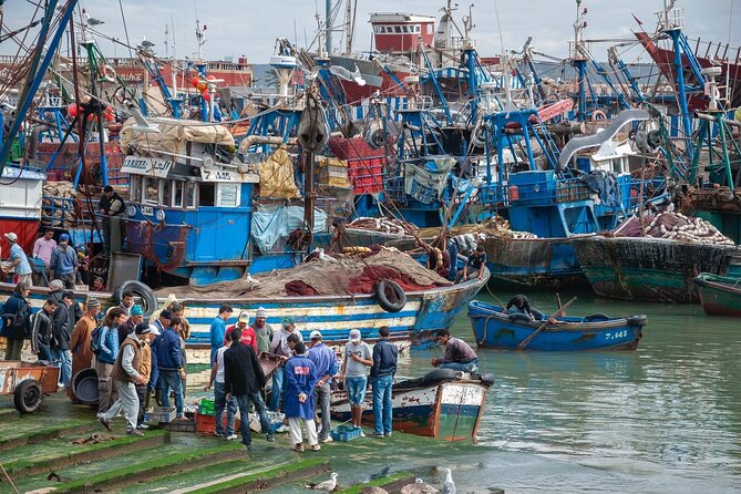 Private Grand Tour of Morocco - Day 2: Essaouira’s Ramparts, Port, and Seafood