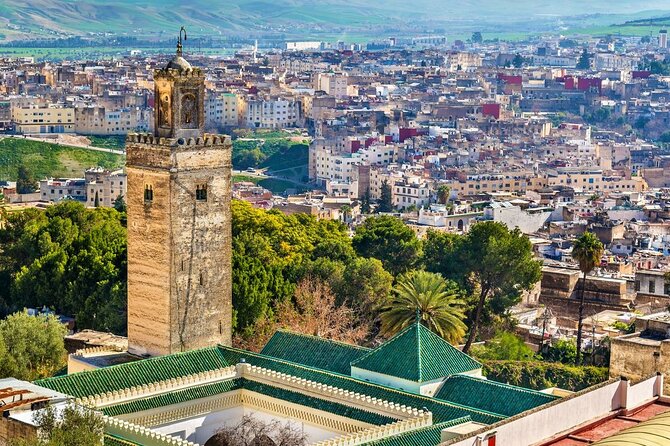 Private Guided Tour of the Medina of Fez and its Surroundings - Chouara Tannery and the working Medina