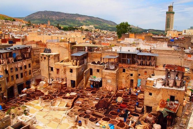Private Guided Tour of the Medina of Fez and its Surroundings - Guides, pace, and personal attention
