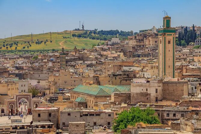 Private Half-Day Walking Tour of Fez Medina - Zaouia of Moulay Idriss II