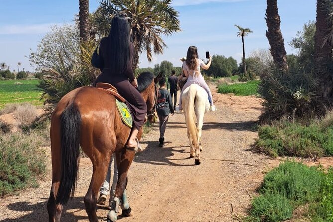 Private horseback ride in the Palmeraie of Marrakech - From Marrakech to the Palmeraie