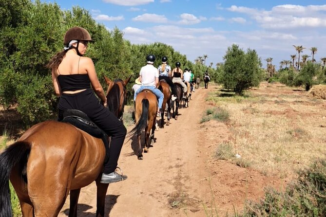 Private horseback ride in the Palmeraie of Marrakech - One hour through palms, tracks, and villages