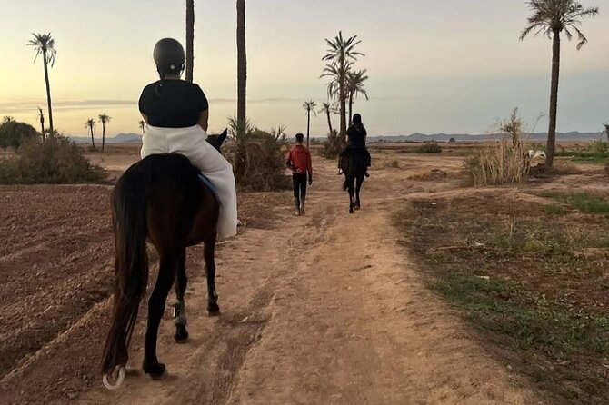 Private horseback ride in the Palmeraie of Marrakech - Safety, weather, and comfort