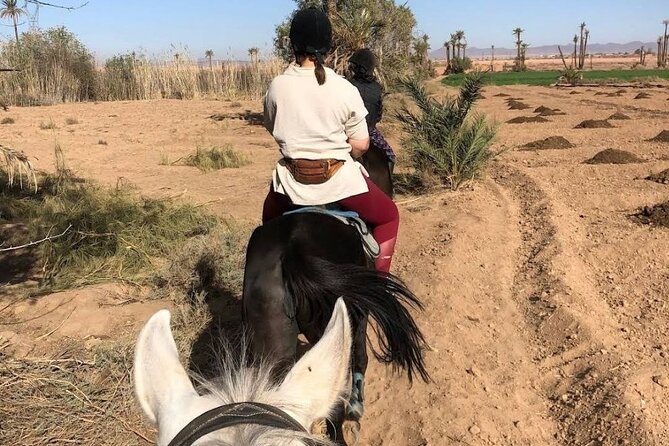 Private horseback ride in the Palmeraie of Marrakech - Who will get the most from this outing?