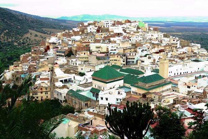Private Meknes Volubilis -Mouly Idriss day trip from Fez - Meknes and the imperial setting