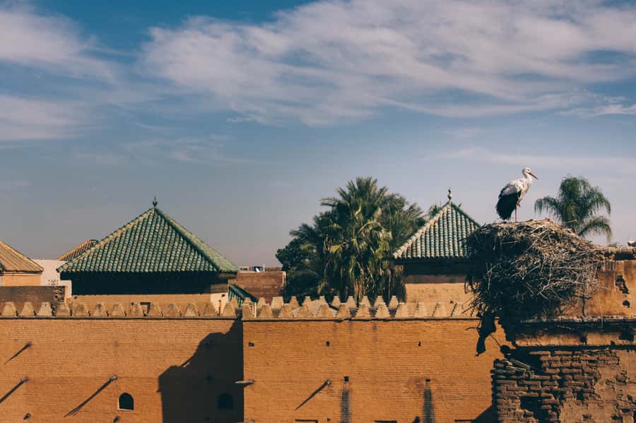 Private Tour: Half-Day Sightseeing Tour of Marrakech - Medina lanes, souks, and the possible shopping stops