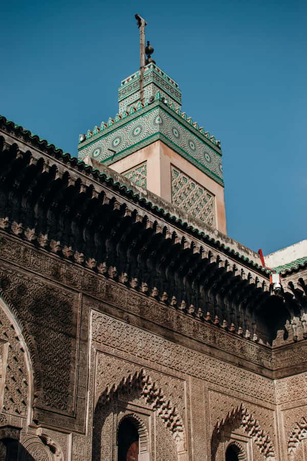 Private Tour –In Old Medina of Fez with a Professional Guide - The tanneries and Fez’s working crafts
