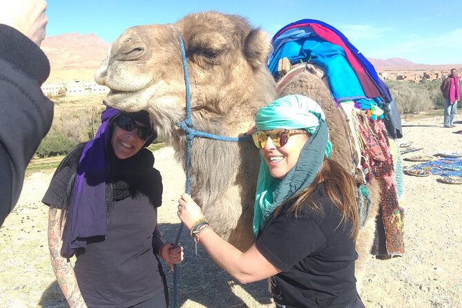 Private Transport from Chefchaouen to Tangier - Meeting your driver in Chefchaouen