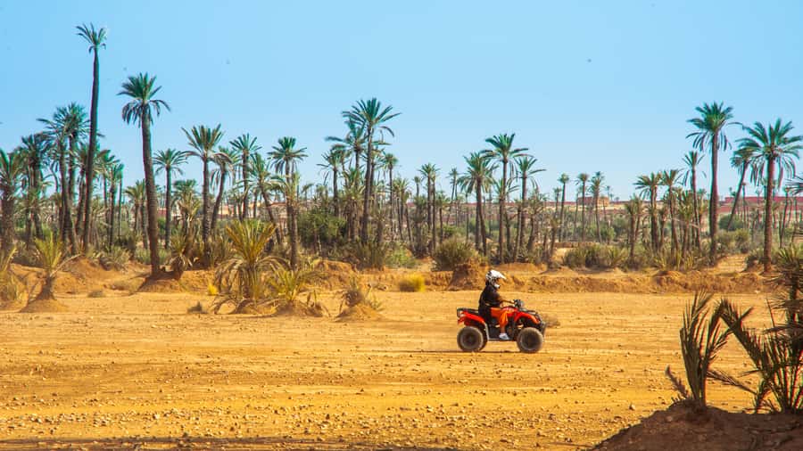 Quad Bike Activity in Marrakech Palmeraie - What the $30 price really covers