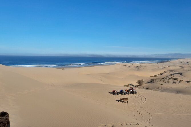 Quad Bike and Sandboarding on Sand Dunes Wild Beach - Three hours on a quad across changing ground