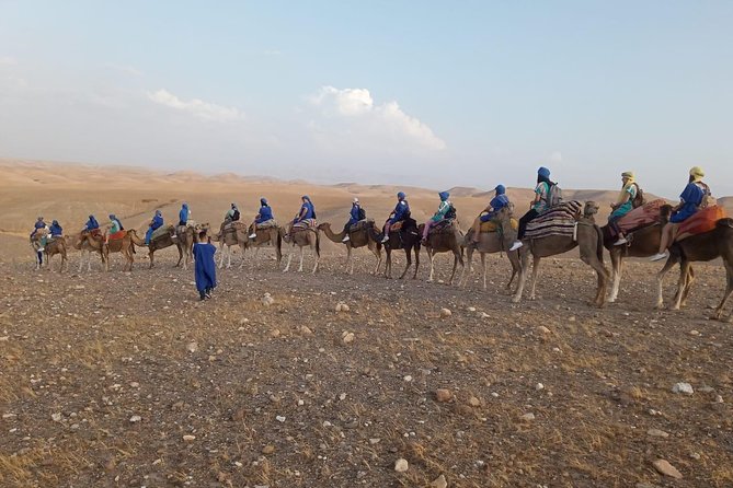 Quad bike & Camel ride Agafay & dinner at Chouf L’Or Restaurant - What the $108.02 price really covers