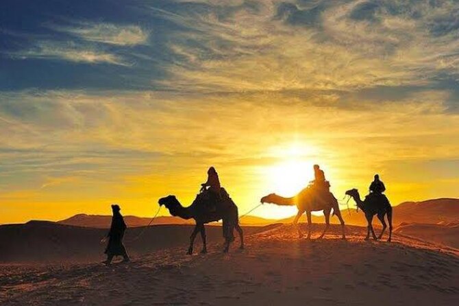 Quad Bike & Camel Ride & Dinner Show In Agafay Desert - A short camel ride with classic photographs