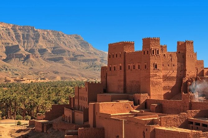 Quad Bike, Camel Ride, Dinner with Show & sunset in Agafay Desert - The argan oil cooperative stop