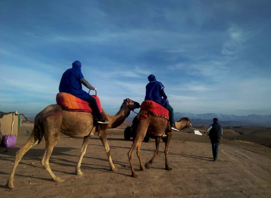 Quad bike & Camel ride in Agafay with dinner at Chouf L’or - From Marrakesh to the Agafay Desert