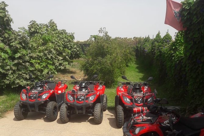 Quad Biking and Sandboarding on Sand Dunes Wild Beach - The quad route covers beaches, dunes, and Berber villages