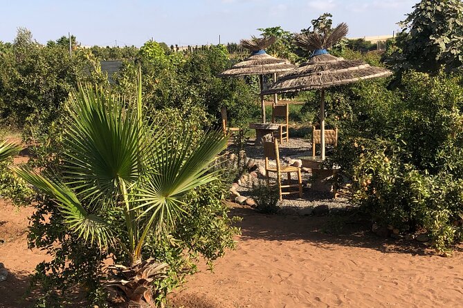 Quad Biking and Sandboarding on Sand Dunes Wild Beach - What to bring and what to plan around