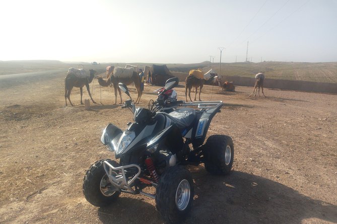 Quad Biking & camel ride Agafay desert with Lunch or dinner - Key points to know before booking