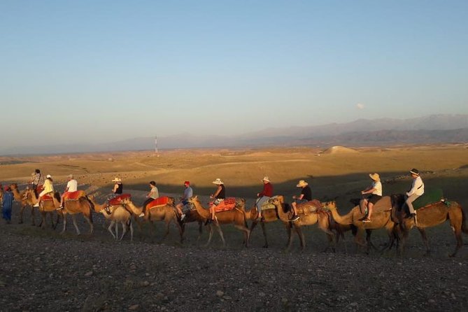 Quad Biking & camel ride Agafay desert with Lunch or dinner - Is $33.68 a fair price?