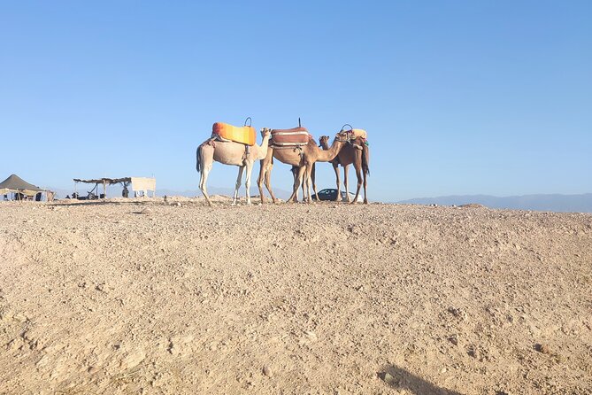 Quad excursion to the Agafay desert near Marrakech - What the $45.36 price really includes