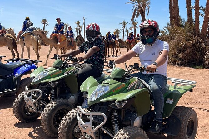 Quad in the Palmeraie of Marrakech - Key points before you book
