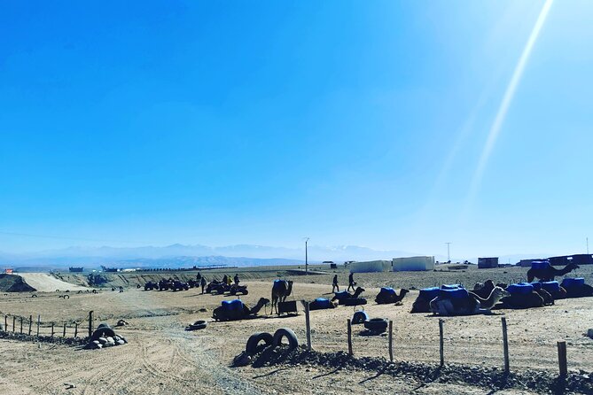 Quad Ride In The Agafay Desert - What the $46.53 price really means