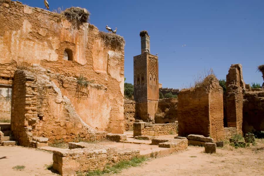 Rabat: Full-Day Trip from Casablanca - Walking Rue des Consuls and Souika Street