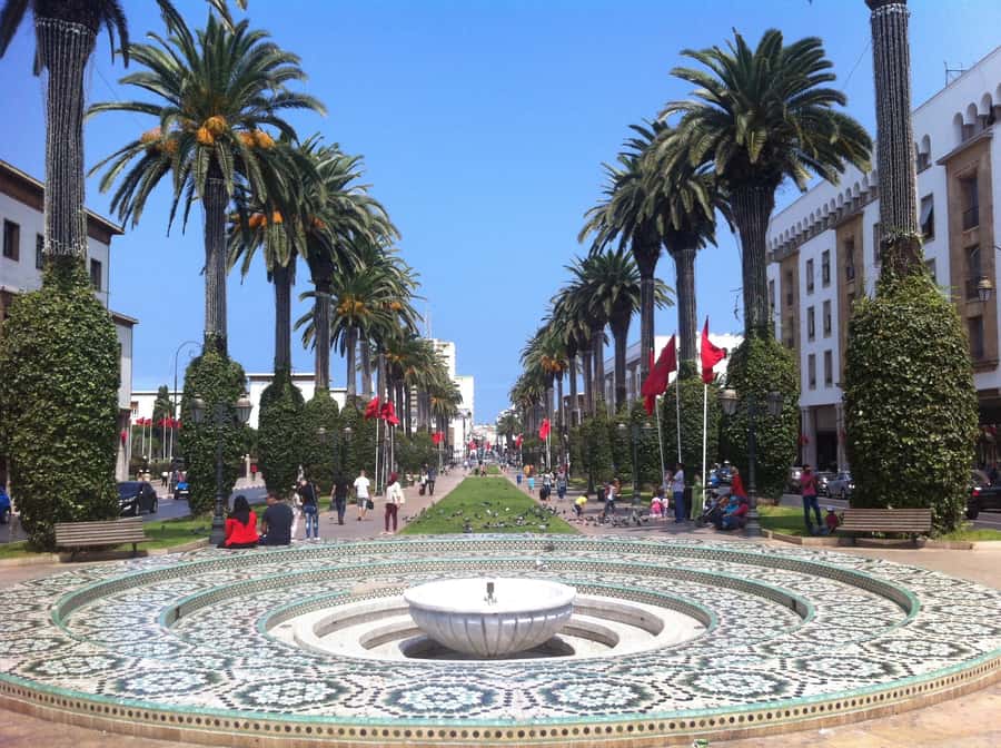 Rabat: Private Half-Day City Tour - Walking through Rabat’s medina