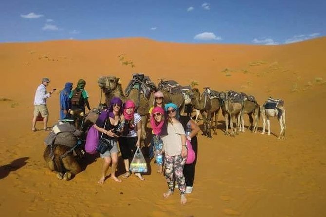 Sahara Desert Trip - 2 night 3 days - Fes to Marrakech OR Marrakech to Fes - Ifrane and Azrou: cedar trees before the sand