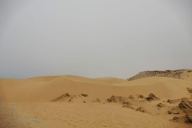 Sandboarding guided experience from Agadir - Why the Atlantic setting makes this outing special