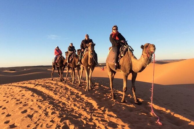 Shared Group 3 Days/2Nights: Fez to Marrakech Sahara Tour - The route from Fez to the Sahara