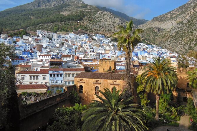 Shared Group Chefchaouen Day Trip from Fez - What $36.06 really buys you