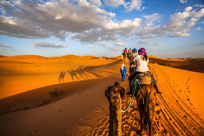 Shared Group Desert Tour Fes To Marrakech Via Merzouga 3 Days - Key points before you book