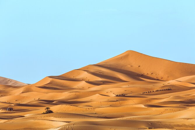 Shared Group Desert Tour Fes To Marrakech Via Merzouga 3 Days - Day 3: Ait Ben Haddou and the High Atlas to Marrakech