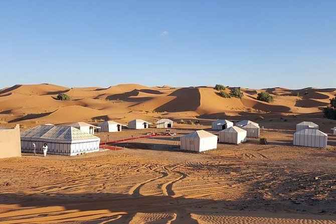 Shared Group Desert Tour Fez to Fez via Merzouga 2Days /1night - From Fez to the cedar country of Ifrane