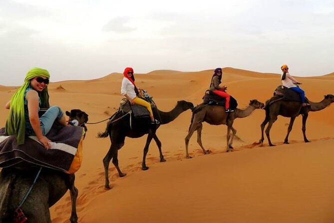 Shared group Fez to Fez Sahara tour 2Days/1Night - The real appeal: reaching the Sahara from Fez in two days