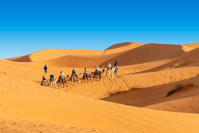 Shared group Fez to Fez Sahara tour 2Days/1Night - Day two: sunrise, breakfast, and the long return to Fez