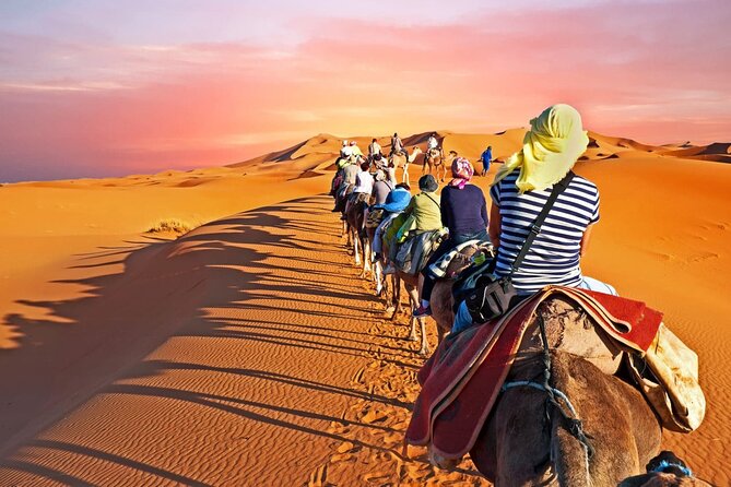 Shared group Fez to Fez Sahara tour 2Days/1Night - What the $127.95 price really covers