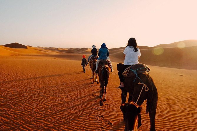 Shared Group Fez To Marrakech via Merzouga Desert Tour 2 Days - Why this two-day route is so demanding