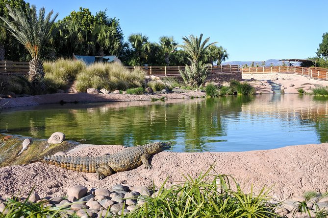 Skip the Line Ticket to Crocoparc with Optional Transfert - The crocodile areas and feeding sessions