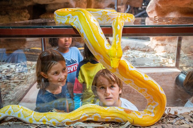 Skip the Line Ticket to Crocoparc with Optional Transfert - Water lilies and Nile papyrus in the Aquatic Garden