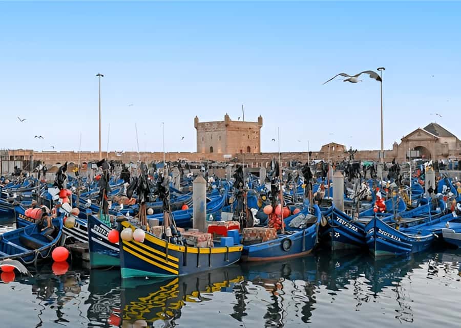 Small-Group Day Trip from Marrakech to Essaouira Mogador - Sidi Mokhtar and the coffee break