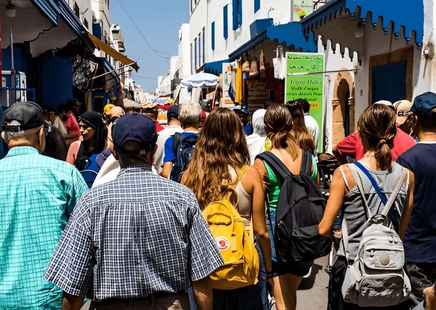 Small-Group Day Trip from Marrakech to Essaouira Mogador - Lunch, shopping, and what costs extra