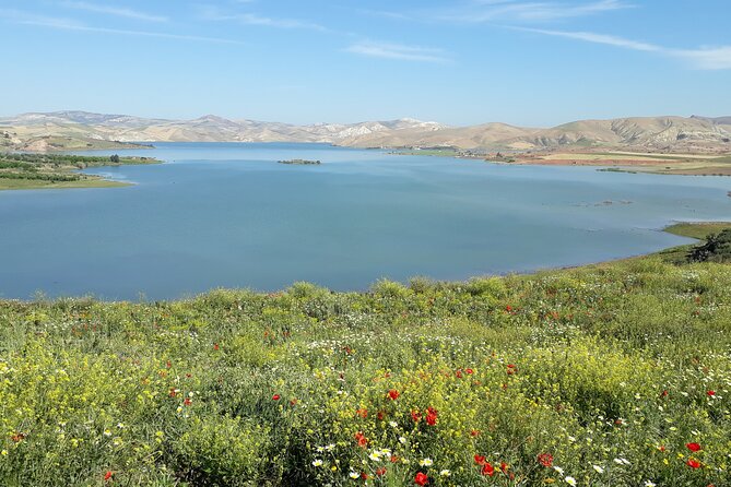 Small-Group Full-Day Meknes, Volubilis and Moulay Idriss Zerhoun Tour from Fez - What the $20 Price Really Gets You