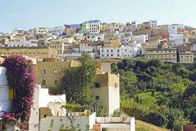 Small-Group Full-Day Meknes, Volubilis and Moulay Idriss Zerhoun Tour from Fez - Moulay Idriss and the View from La Grande Terrasse