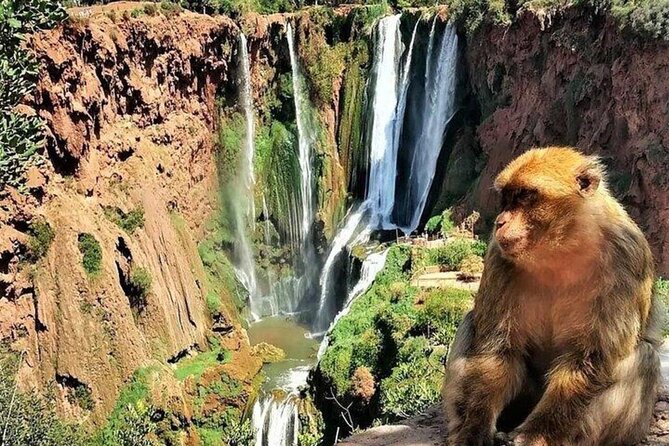 Small group Ouzoud Waterfall Guided Tour Boat Ride from Marrakech - Who will enjoy this outing most