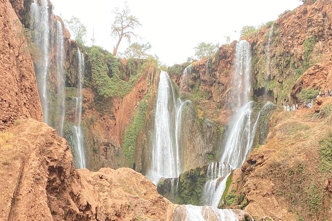 Small group Ouzoud Waterfall Guided Tour Boat Ride from Marrakech - The 8:00 am pickup and road to the falls