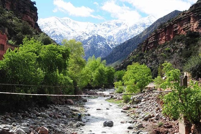 Small group To Atlas Mountains and Ourika valley From Marrakech - Guides, Communication, and the Group Format