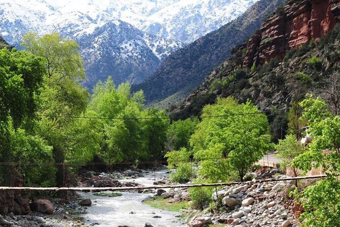 Small group To Atlas Mountains and Ourika valley From Marrakech - Who Will Enjoy This Day Trip Most?